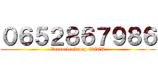 ０６５２８６７９８６ (Ventoris Group ETTP)