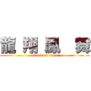 龍 翔 鳳  舞 (attack on titan)