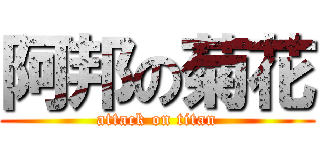 阿邦の菊花 (attack on titan)