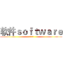 软件ｓｏｆｔｗａｒｅ (1523)