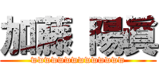 加藤 陽眞 (wwwwwwwwwwwwww)
