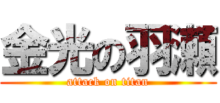 金光の羽瀬 (attack on titan)