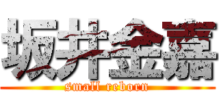 坂井金嘉 (small reborn)