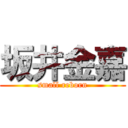 坂井金嘉 (small reborn)