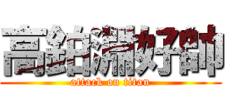 高鉑淵好帥 (attack on titan)