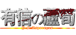 有信の蘆筍 (Y.S.Asparagus)