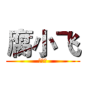 腐小飞 (求关注)
