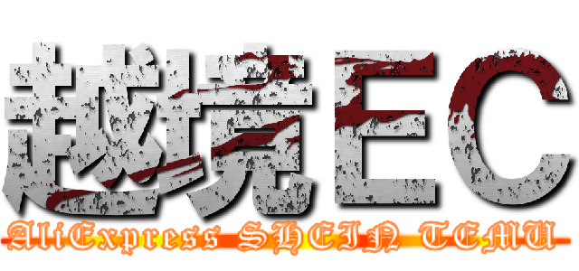 越境ＥＣ (AliExpress SHEIN TEMU)