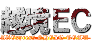 越境ＥＣ (AliExpress SHEIN TEMU)