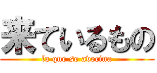 来ているもの (la que se avecina)