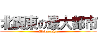 北関東の最大都市 (Utsunomiya)