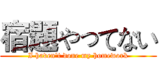 宿題やってない (I haven't done my homework)