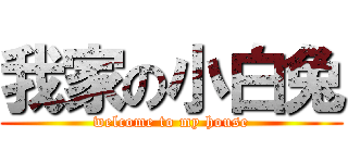 我家の小白兔 (welcome to my house)