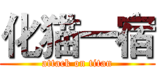 化猫一宿 (attack on titan)