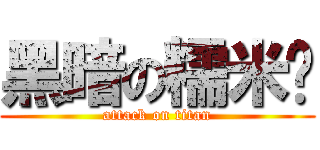 黑暗の糯米糰 (attack on titan)