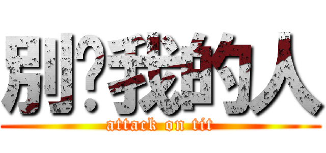 別碰我的人 (attack on tit)