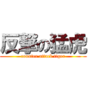 反撃の猛虎 (counter attack tiger)