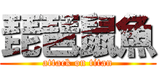 琵琶鼠魚 (attack on titan)