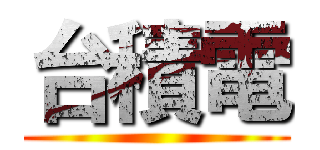 台積電 ()