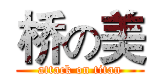 桥の美 (attack on titan)