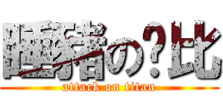 睡豬の妮比 (attack on titan)