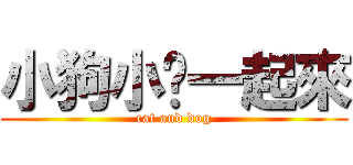 小狗小貓一起來 (cat and dog)