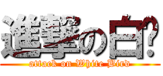 進撃の白鸟 (attack on White Bird)
