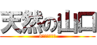 天然の山口 (8組のアイドル)