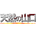 天然の山口 (8組のアイドル)