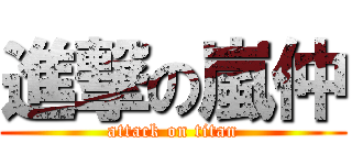進撃の嵐仲 (attack on titan)