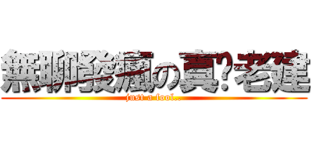 無聊發瘋の真‧老建 (just a fool..)