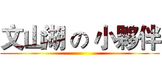 文山湖 の 小夥伴 ()