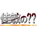 佳敏の亚军 (attack on titan)