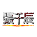 張千辰 (jas)