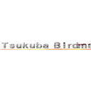 Ｔｓｕｋｕｂａ Ｂｉｒｄｍａｎ Ｗｏｒｋｓ (attack on titan)