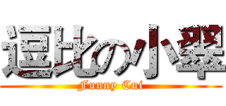 逗比の小翠 (Funny Cui)