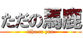 ただの馬鹿 (tiha ra yuu)