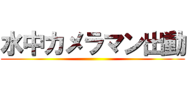 水中カメラマン出動 ()