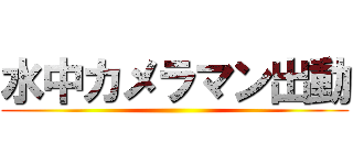 水中カメラマン出動 ()