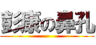 彭康の鼻孔 ()