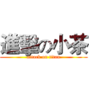 進擊の小茶 (attack on titan)