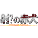 射擊の赤犬 (attack on Reddog)