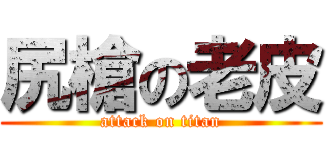 尻槍の老皮 (attack on titan)