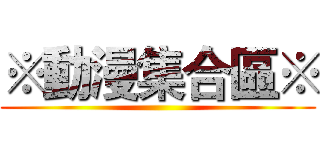 ※動漫集合區※ ()