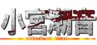 小宮潮音 (attack on titan)