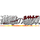 進擊の貓奴 (attack on titan)