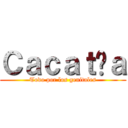 Ｃａｃａｔúａ (Todo por los genitales)