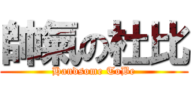 帥氣の杜比 (Handsome ToBe)