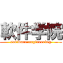 軟件学院 (software engineering)