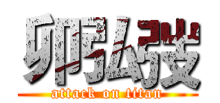 卯弘弢 (attack on titan)